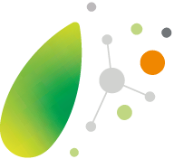 Together to the Next Level